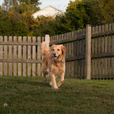 Entry image for Keeley