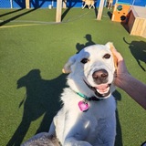 Entry image for Millie 
