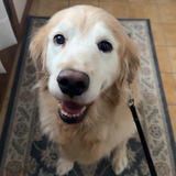 Entry image for Walter