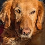Entry image for Lexie 