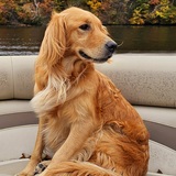 Entry image for Maggie Mae