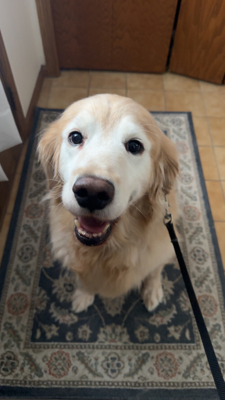 Entry image for Walter. Clicking this image will show a larger photo