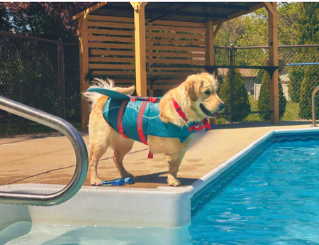 Entry image for Captain. Clicking this image will show a larger photo