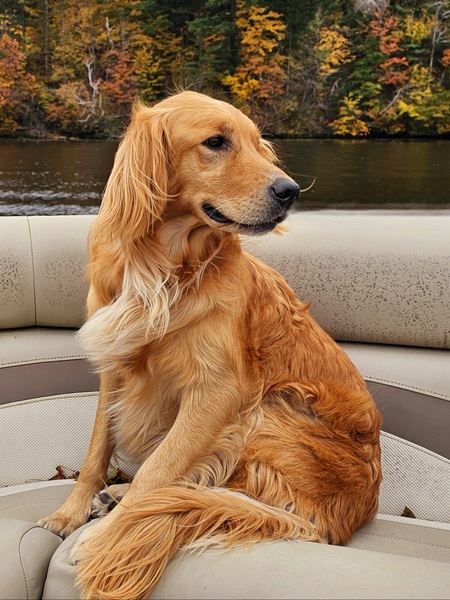 Entry image for Maggie Mae. Clicking this image will show a larger photo
