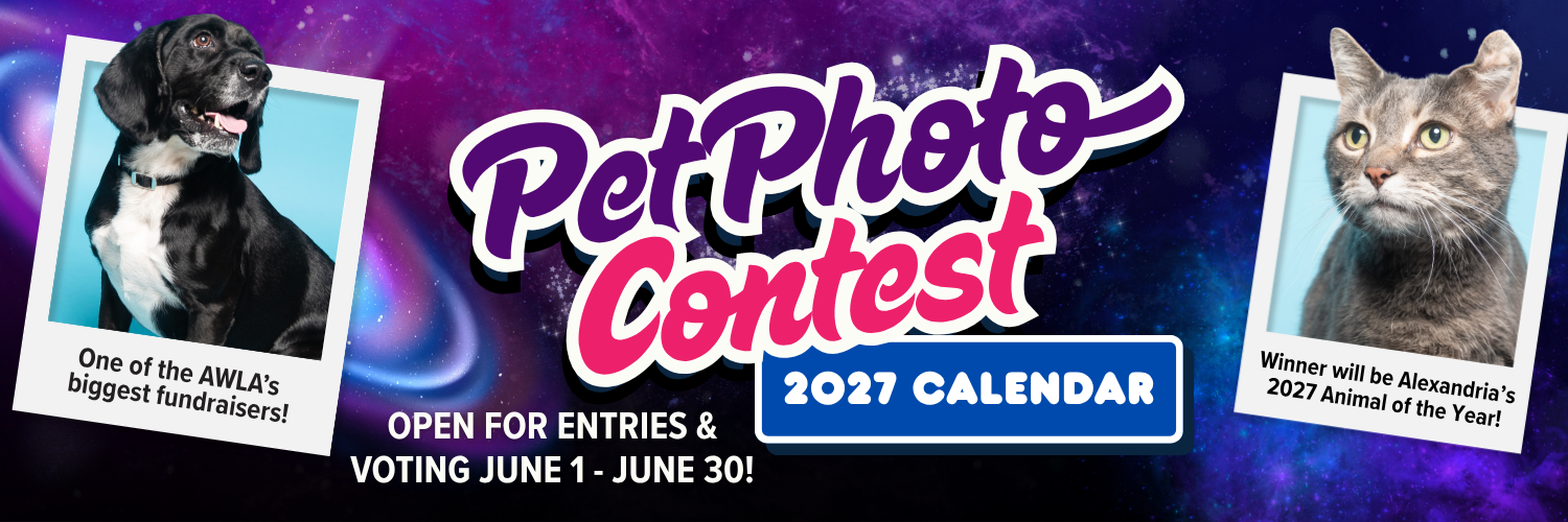 Banner for 2027 Calendar Pet Photo Contest