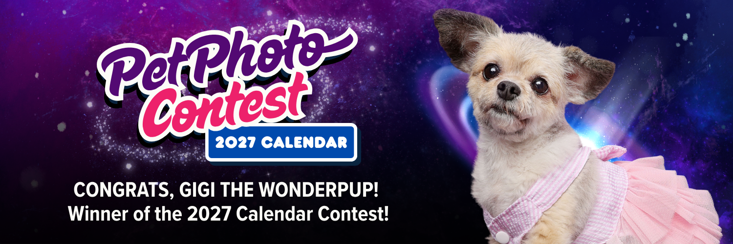 Banner for 2027 Calendar Pet Photo Contest