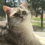 Entry image for Timmy
