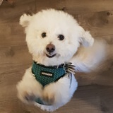 Entry image for Teddy James