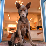 Entry image for Maisie Mae