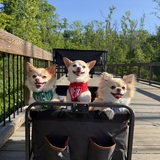 Entry image for Mani, Adobo & Turon