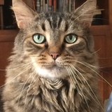 Entry image for Ernie