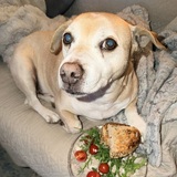 Entry image for Wally