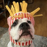 Entry image for Rosie