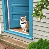 Entry image for Teddy