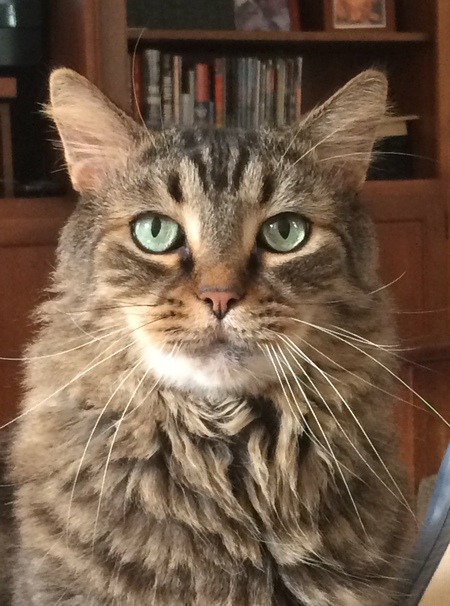 Entry image for Ernie. Clicking this image will show a larger photo