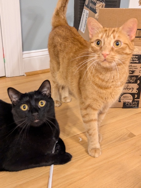 Entry image for Oshie and Dublin. Clicking this image will show a larger photo