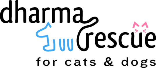 Logo for 2027 Handicapable Animals and Friends Calendar Contest