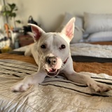 Entry image for Otis
