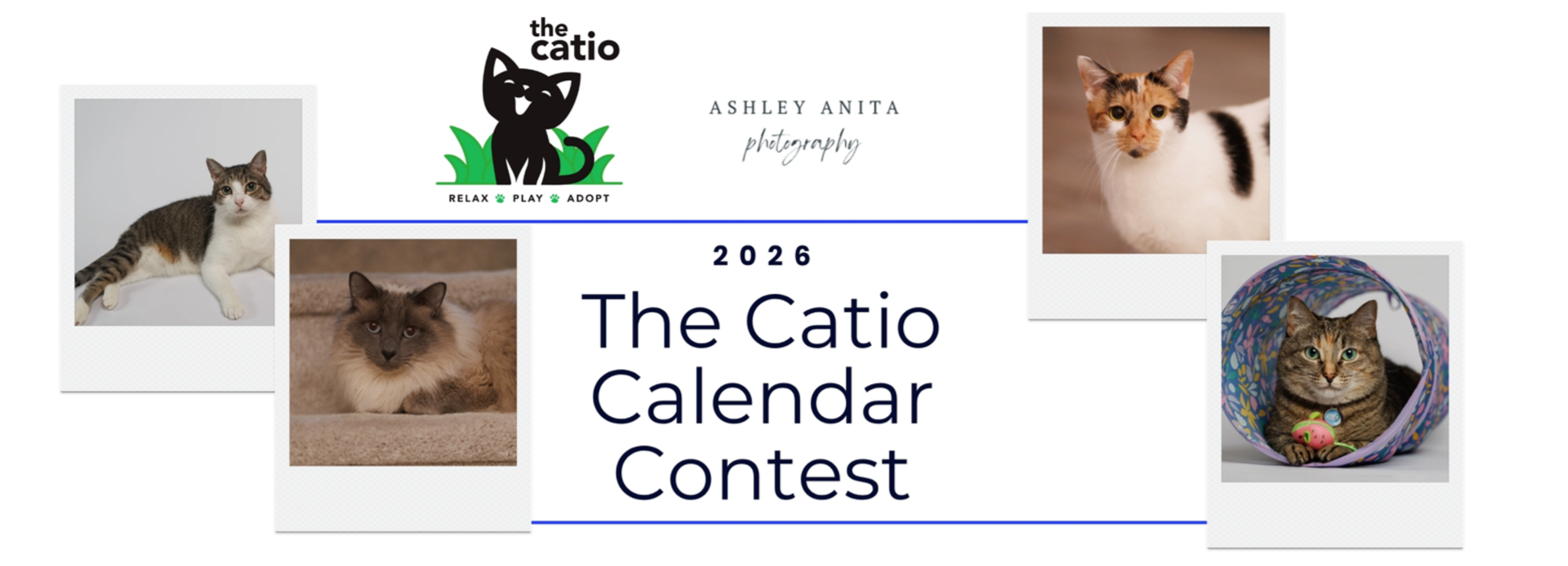 Banner for The Catio Photo Fundraiser