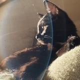 Entry image for Binx