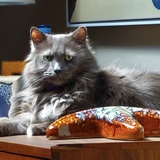 Entry image for Otis