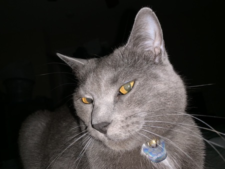 Entry image for Antonia. Clicking this image will show a larger photo