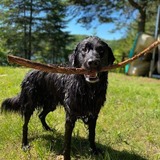 Entry image for Benny