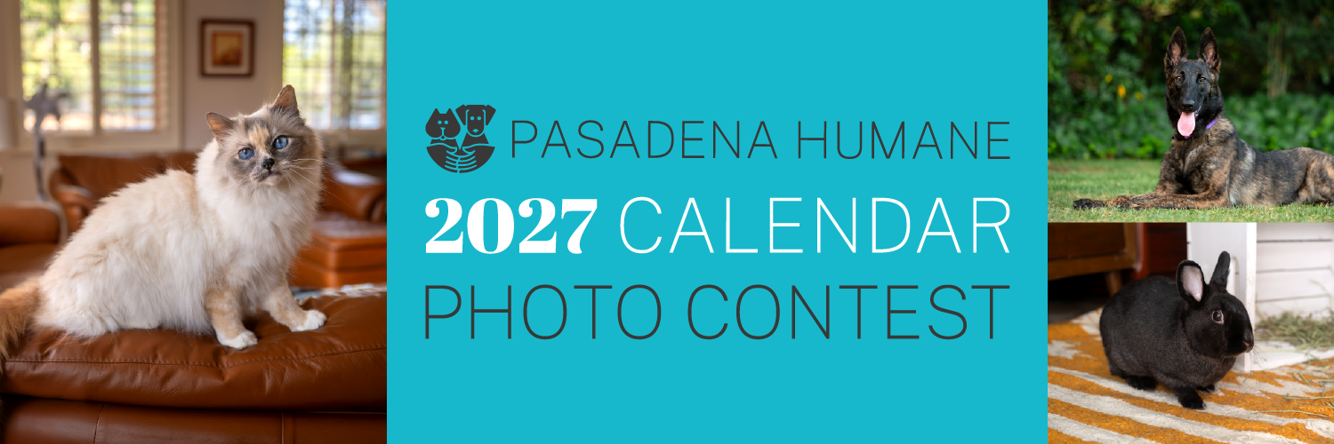 Banner for 2027 Calendar Photo Contest