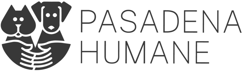 Logo for 2027 Calendar Photo Contest