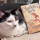Entry image for Booksie 