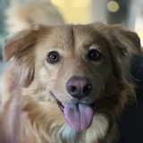 Entry image for Pawby 