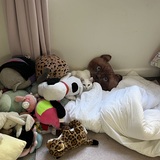 Entry image for Vanilla 