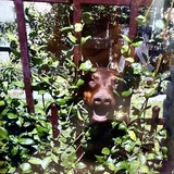 Entry image for Haven