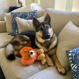 Entry image for Loki
