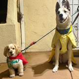 Entry image for Teddy and Kohl