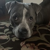 Entry image for Molly