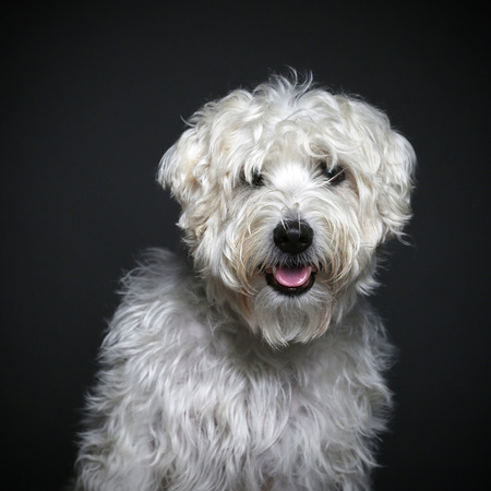 Entry image for Walter. Clicking this image will show a larger photo