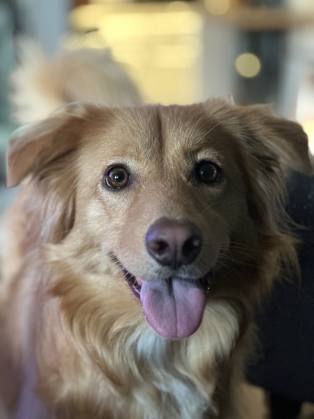 Entry image for Pawby . Clicking this image will show a larger photo
