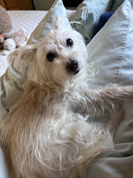 Entry image for Sally. Clicking this image will show a larger photo