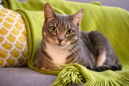 Entry image for lilu. Clicking this image will show a larger photo