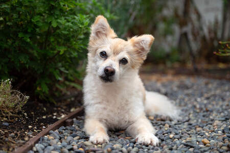 Entry image for Mattie. Clicking this image will show a larger photo