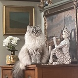 Entry image for Momo