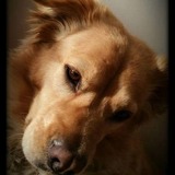 Entry image for Lia boo