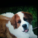 Entry image for Maddie