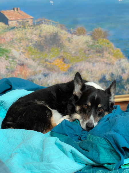 Entry image for Maps. Clicking this image will show a larger photo