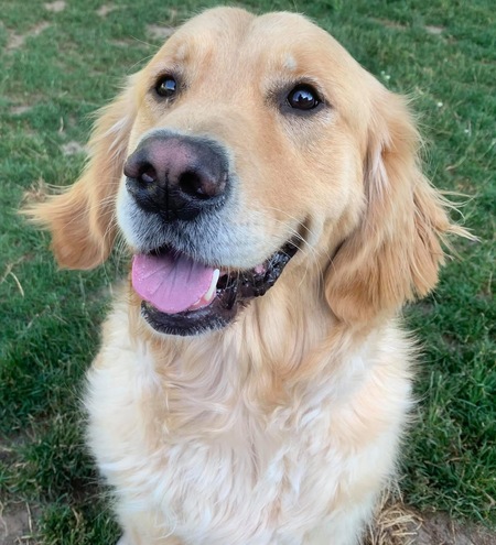 Entry image for Chloe. Clicking this image will show a larger photo