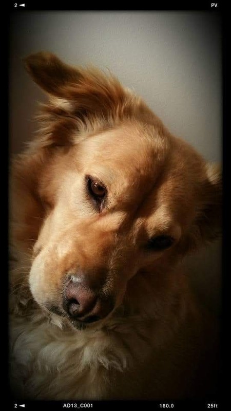 Entry image for Lia boo. Clicking this image will show a larger photo