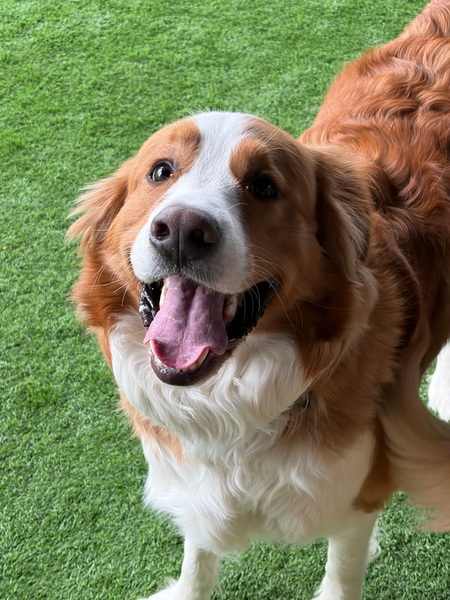 Entry image for Tucker. Clicking this image will show a larger photo