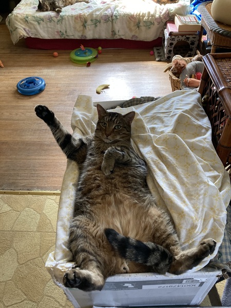 Entry image for Richard Parker. Clicking this image will show a larger photo