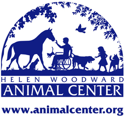 Logo for Faces of Hope Photo Contest